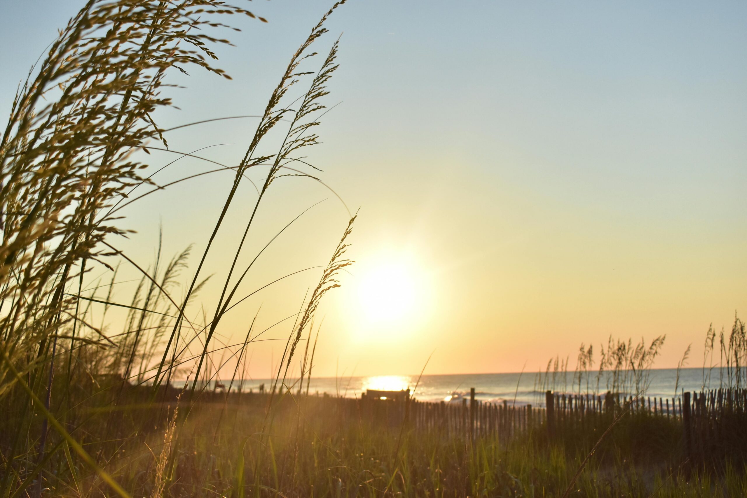 Why Summer Can Be a High-Risk Time for Relapse in North Carolina Blog
